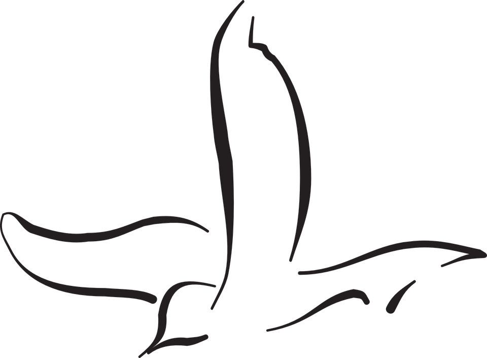 Vapauden symboli